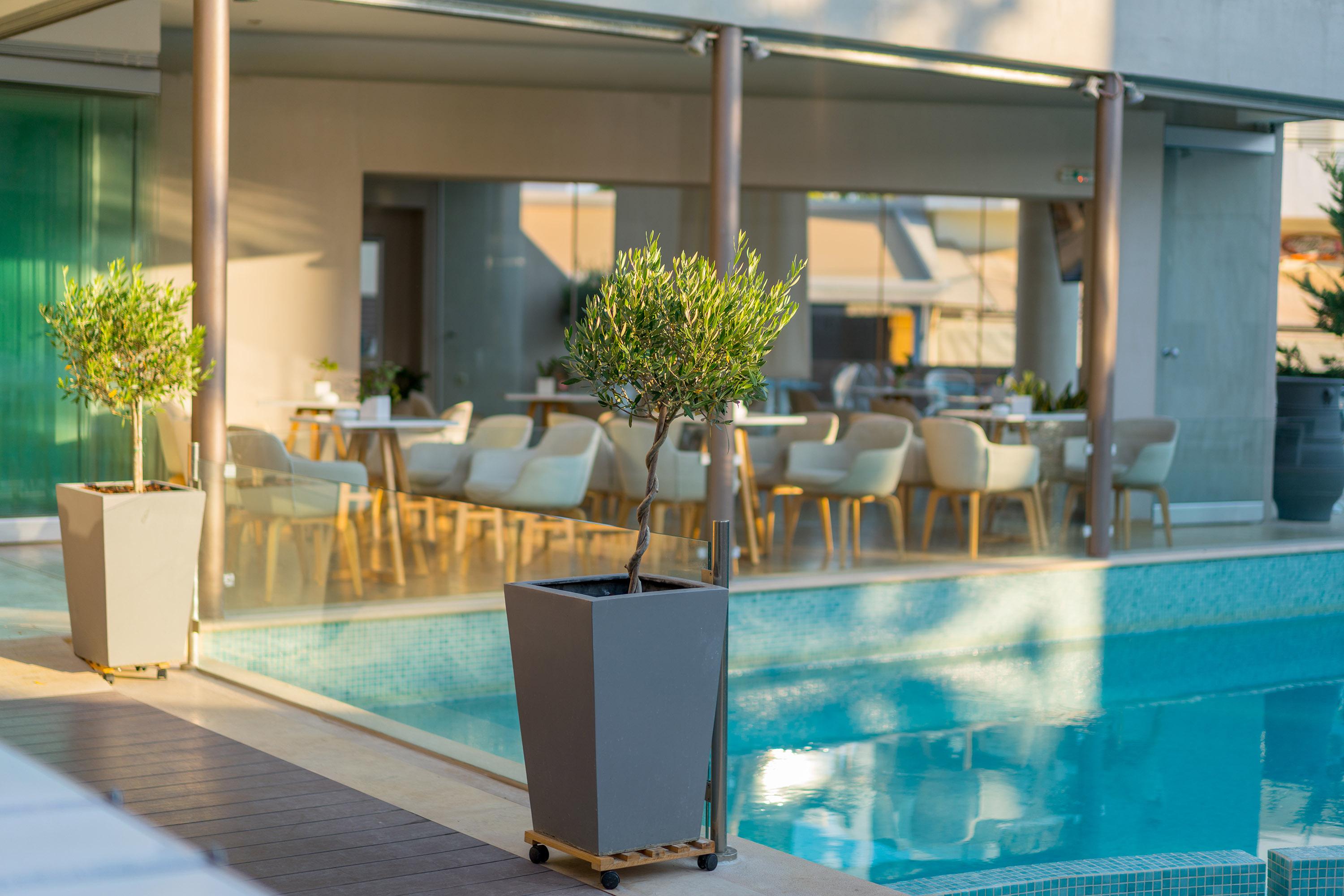 Nefeli Hotel プラタネス エクステリア 写真